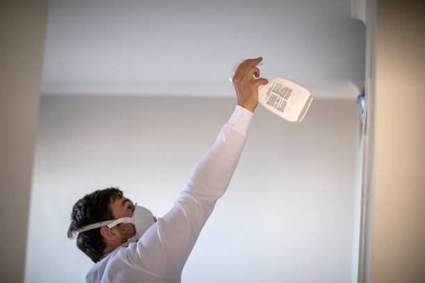 Mold Removal and Inspection in Beavercreek, OH