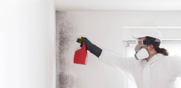 Mold Removal and Inspection in Beavercreek, OH