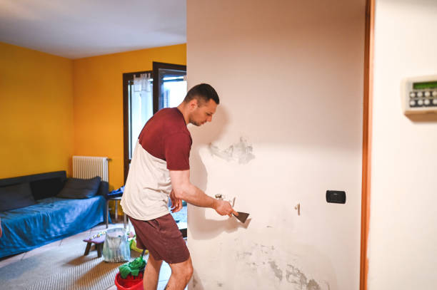 Best Residential Mold Removal  in Beavercreek, OH